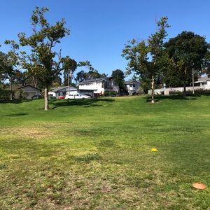 Meet your Posher, Noemi